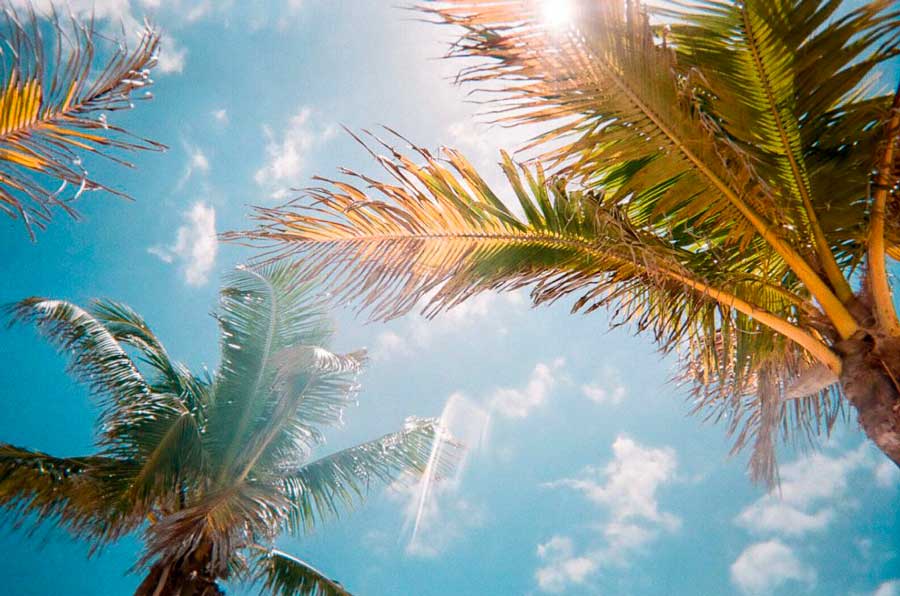 Fixer Florida image